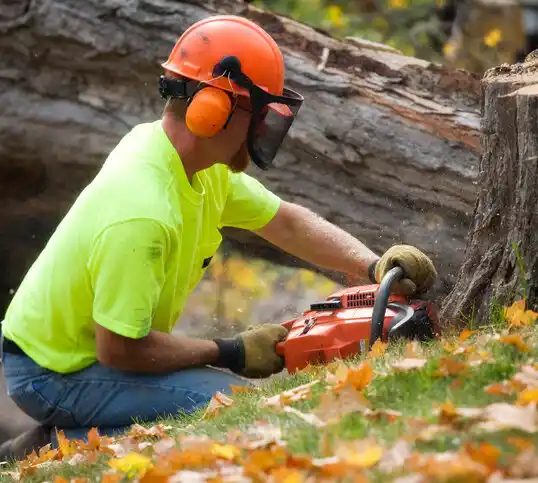 tree services Greentop